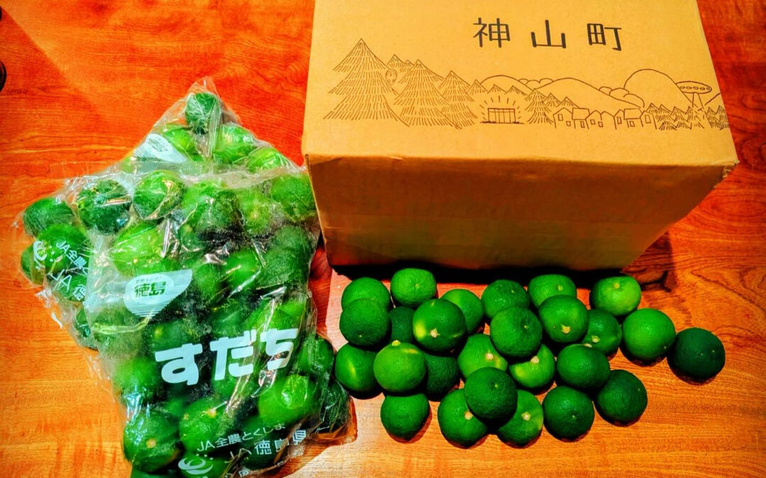 【神山すだち】