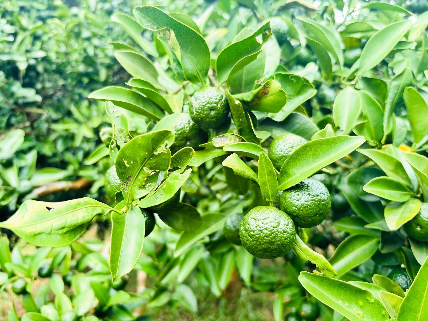 20251010030550_873598_68e8780ed5483_jobf949310b